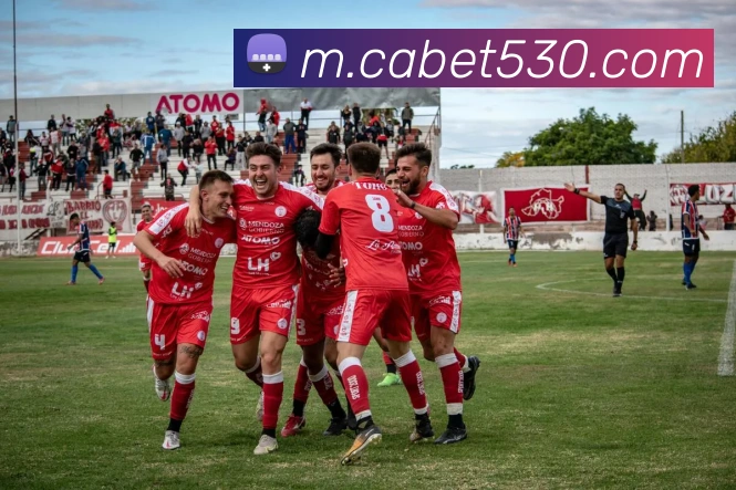 登录器